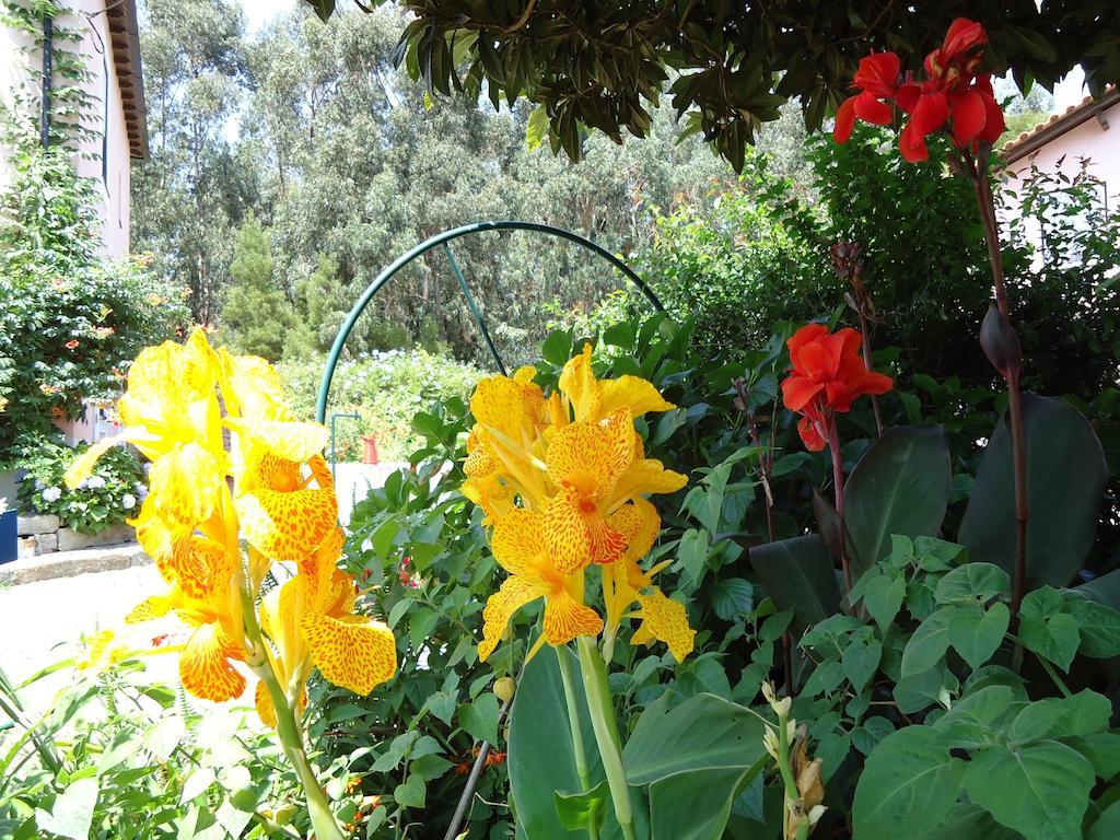 Quinta Do Vale Do Monte Guest House Viana do Castelo Exterior photo